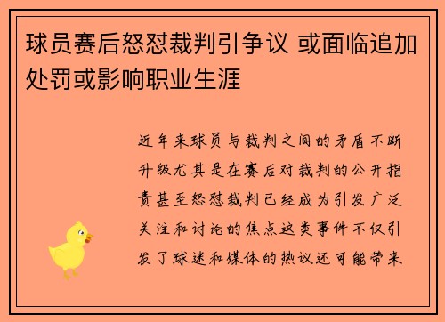 球员赛后怒怼裁判引争议 或面临追加处罚或影响职业生涯